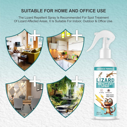 Petzlora Lizard Repellent Spray (Pack of 2x250ml)