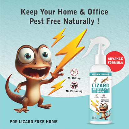 Petzlora Lizard Repellent Spray (Pack of 2x250ml)