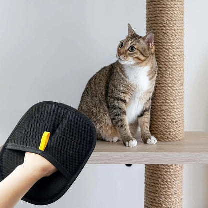 Petzlora™ Premium Pet Hair Removal Glove